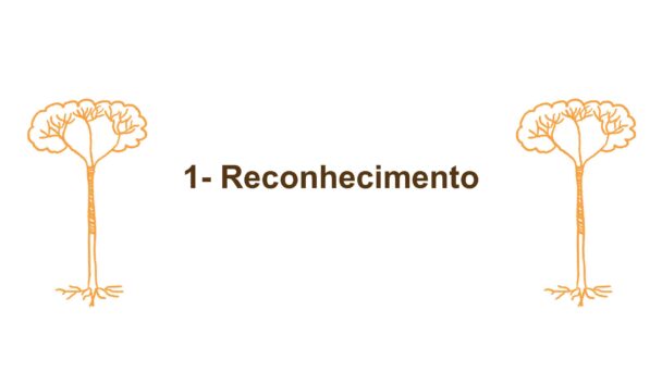 bb document pdf preview activity image em Pluriverso
