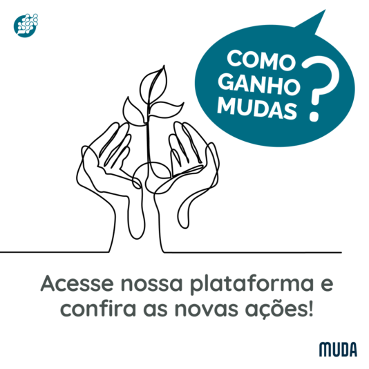 codesenho
