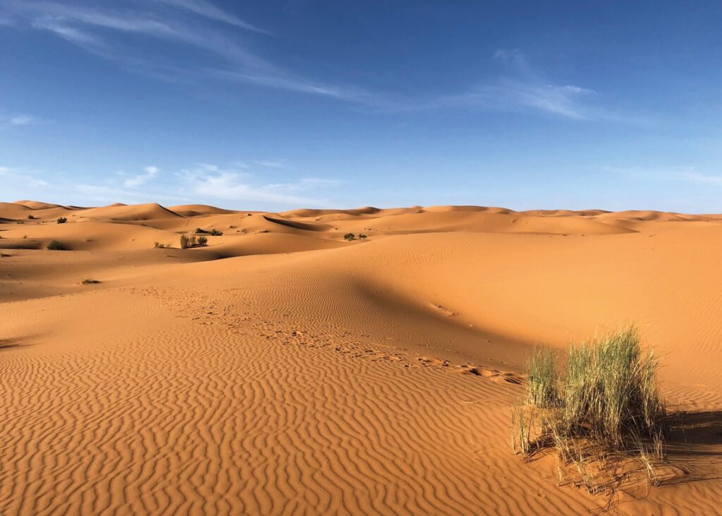 desertos naturais: três formas de ocupação do solo com diferentes implicações para o clima