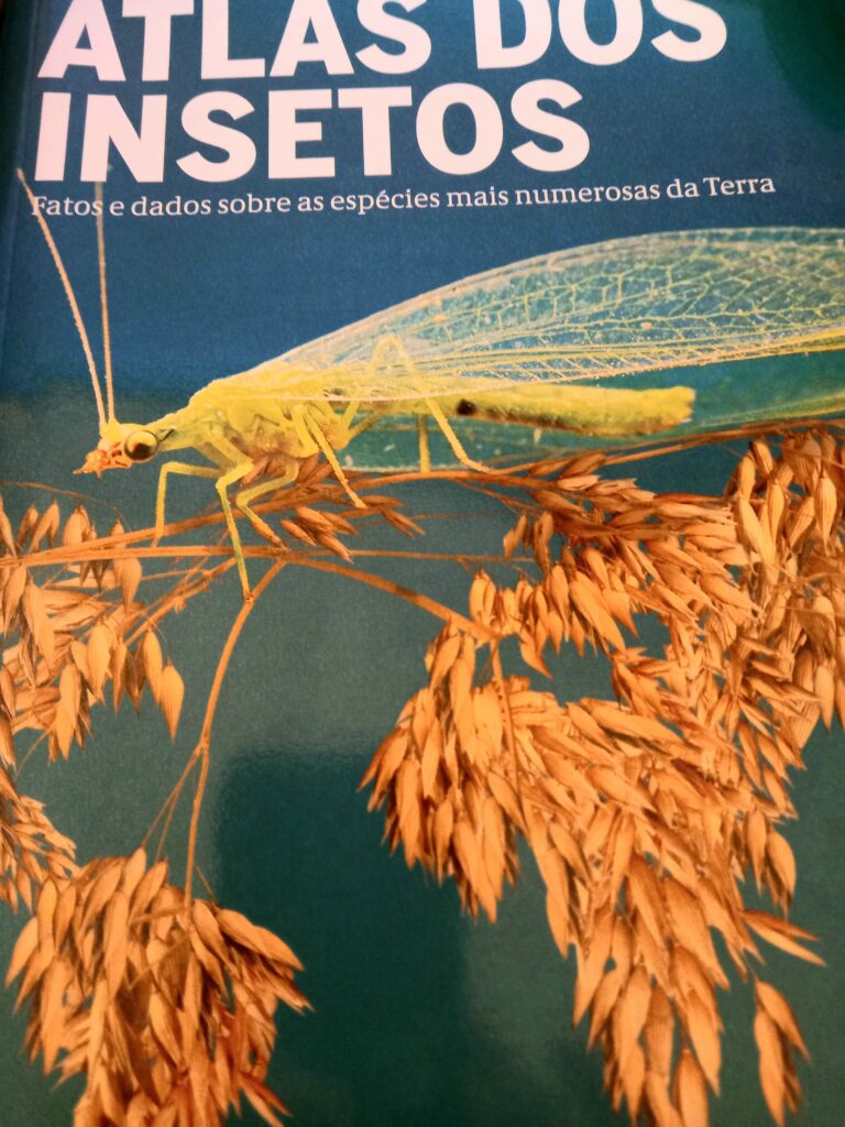 Besouros rola-bosta, essenciais na pecuária, sofrem com ivermectina dada ao  gado