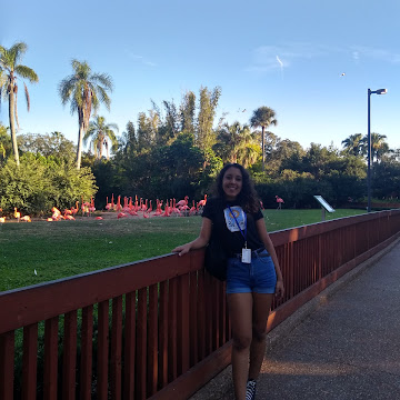 Foto de perfil de isabelaminucci