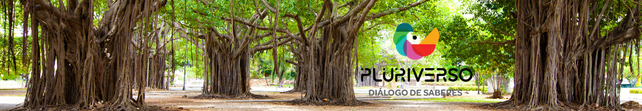 Privado: Pluriverso Criativo