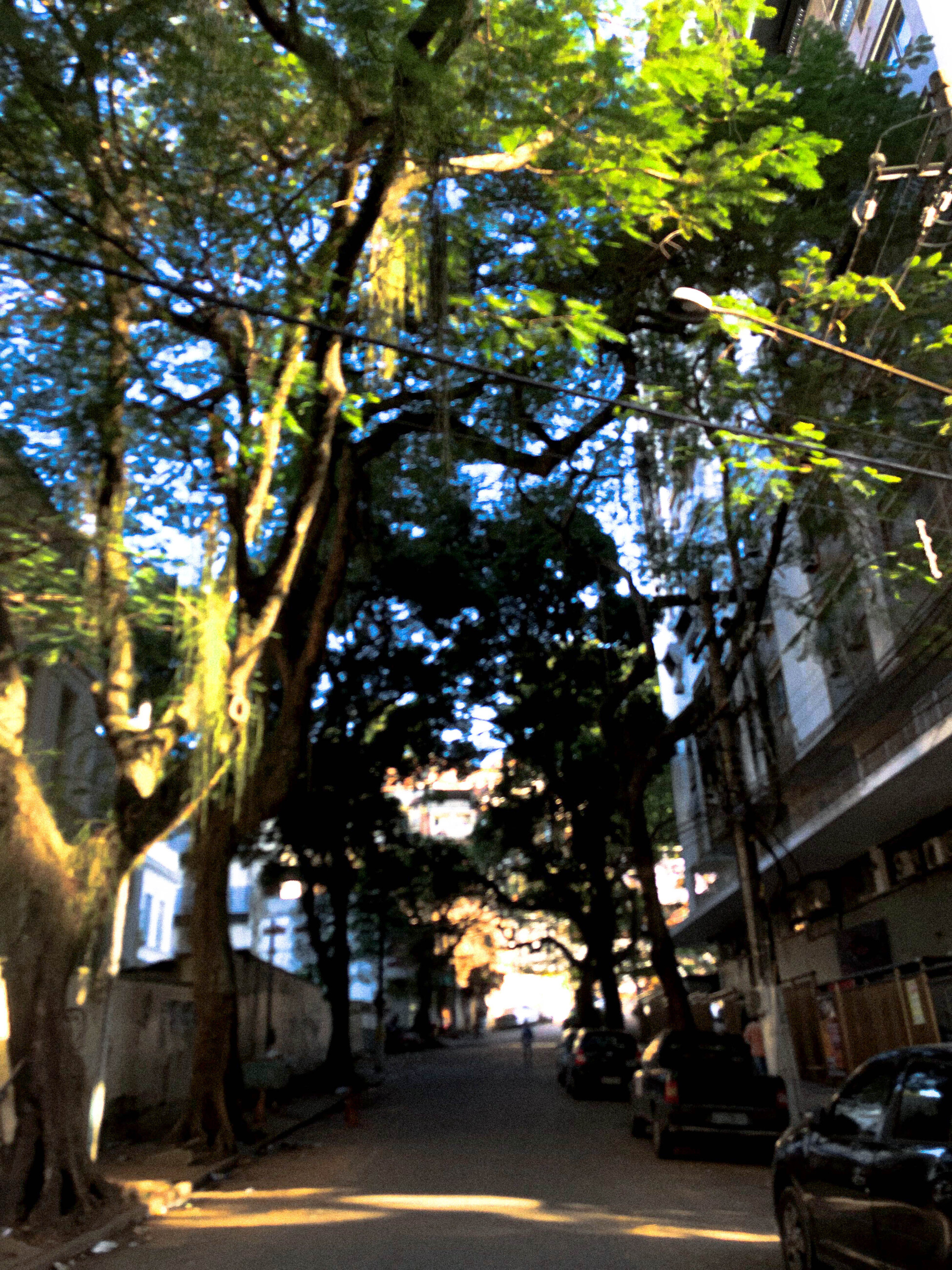 Adelia Sant'Anna 1 613a364828820 bp cover image em Pluriverso