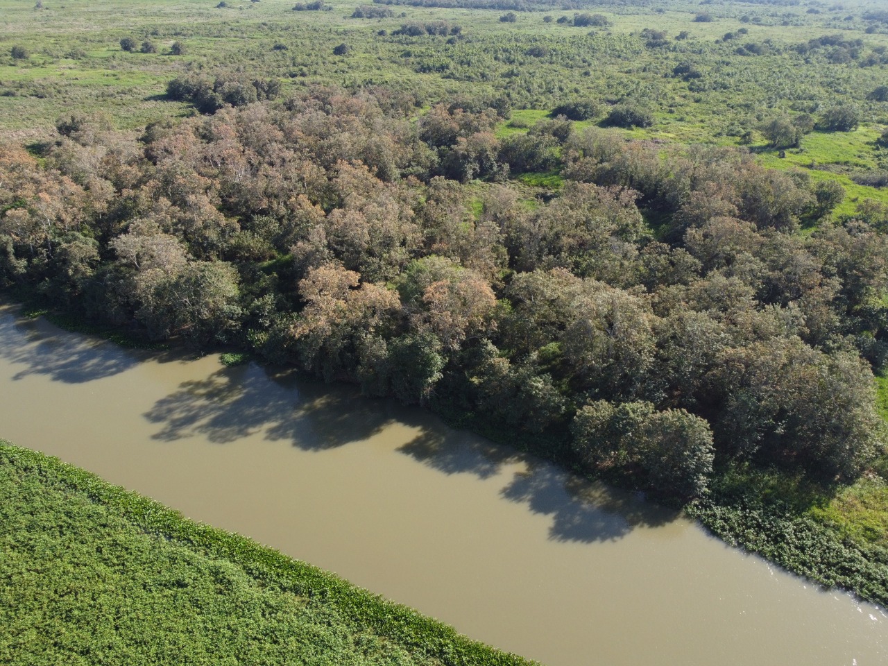 688a77552ab7f bp cover image em Pluriverso