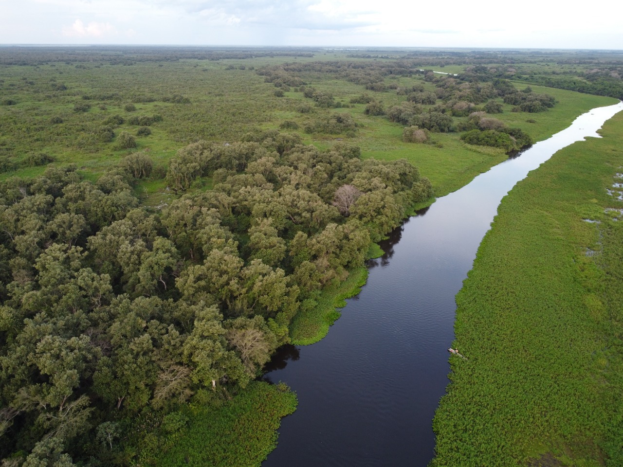 688a778e464ef bp cover image em Pluriverso