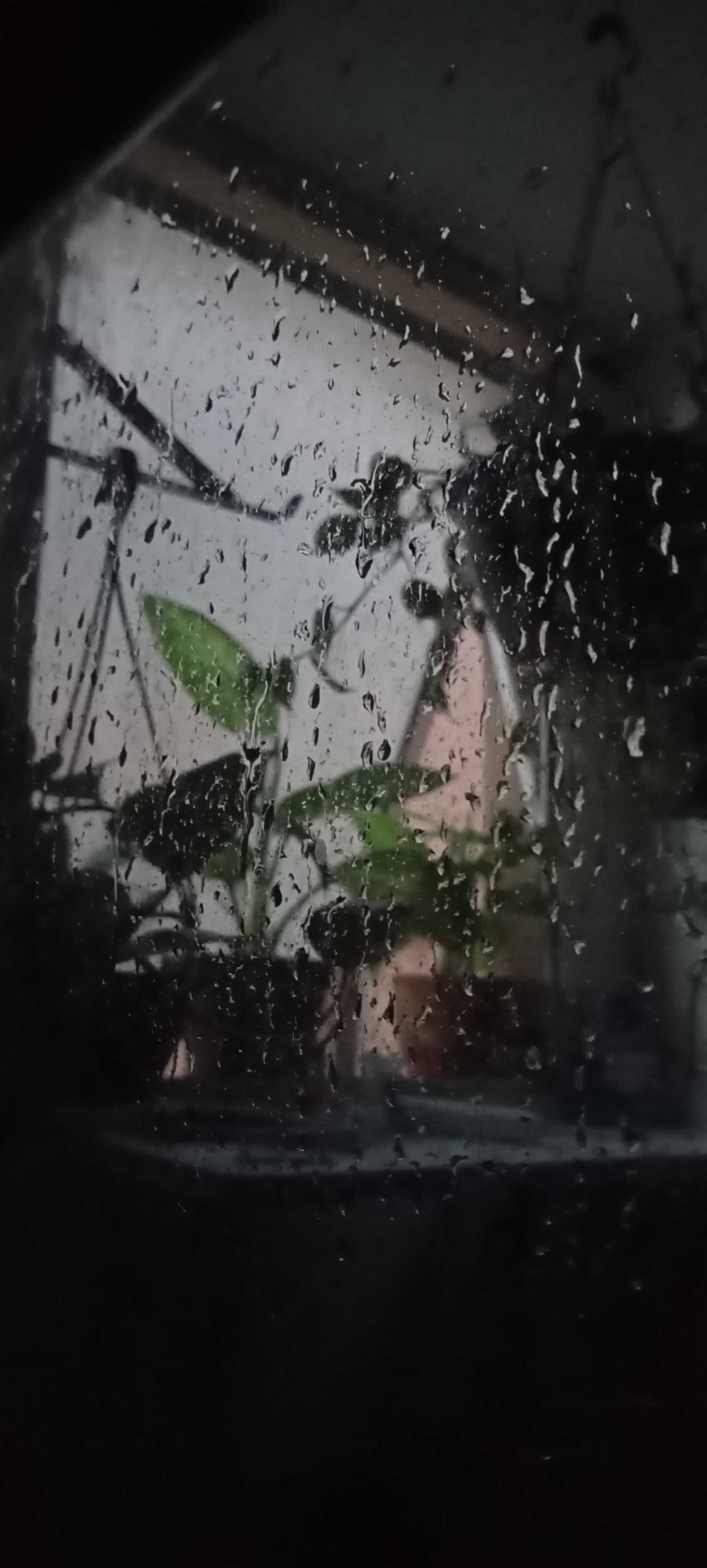 69e1030f670b1 bp cover image em Pluriverso