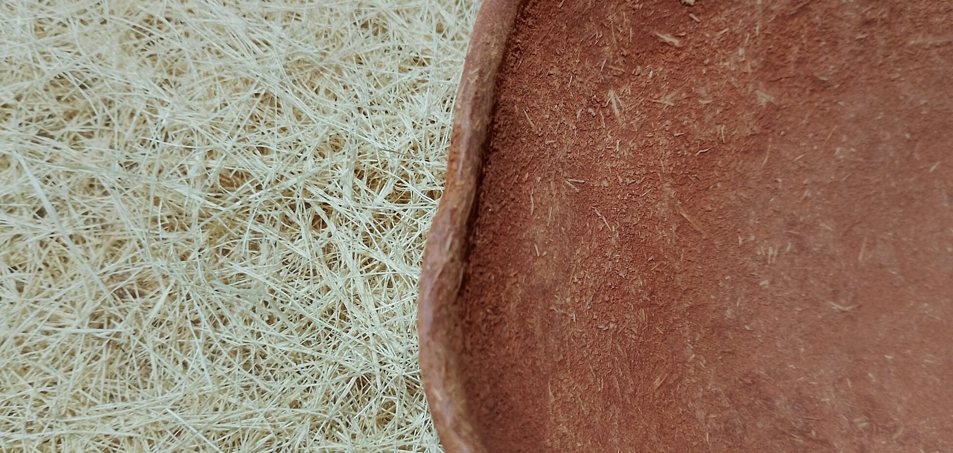 69ea8a986a398 bp cover image em Pluriverso